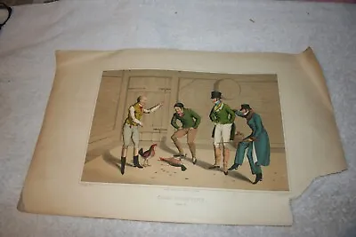 COCK FIGHTING Plate 2.  Lithograph By Henry Alkin 1820  Torn Corner • £77.13