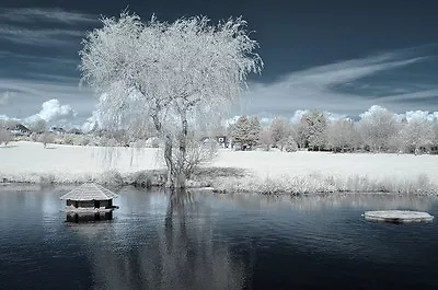 £229 • Buy Nikon D90 Infrared Converted 720nm Digital IR Infrared Camera.Standard Infrared