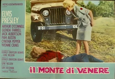 KISSIN' COUSINS ELVIS PRESLEY Italian Fotobusta Movie Poster 5 1964 • $125