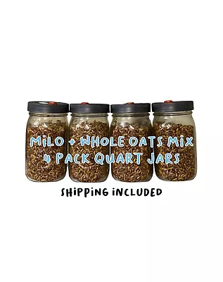 Sterilized Grain Spawn Jars Milo/ Whole Oats Mix 4-Pack Quart Jars • $65