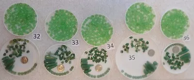 $4.50 • Buy Green AVENTURINE Round, Chip & Point BEADS One Of 5 LOTS Matching GLASS BEADS