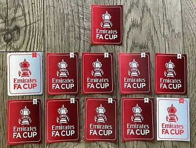 The Emirates Fa Cup 2020/21 Winners 1/2/3/4/5/6/7/8/12/14 Iron On  Patch • $9.88