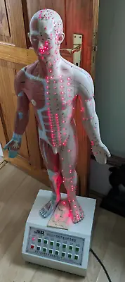 Cool 1m Acupuncture Teaching Model Lighting 14 Rows Of Meridian Needle Points • £450