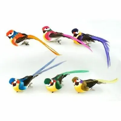 $20.46 • Buy Brightly Colored Long Feather Tail Mushroom Birds