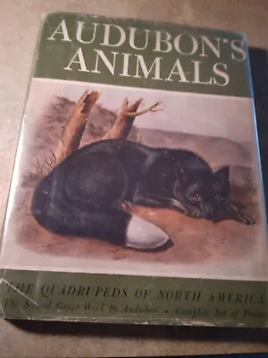 Audubon's Animals The Quadrupeds Of North America By Alice Ford 1951 • $19