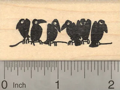 Raven Rubber Stamp Blackbird Crow Birds On A Wire E22609 WM • $15