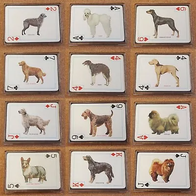 Fridge Magnet (FB6) Playing Card Dogs Of The World - Various Breeds • $4.92
