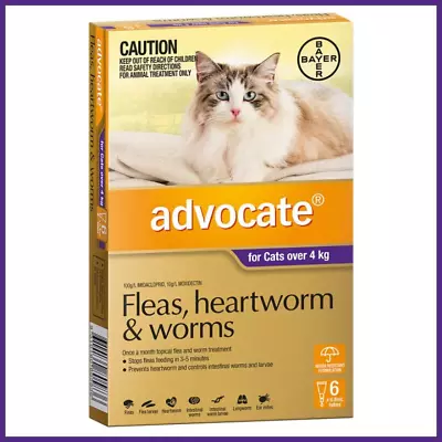 Advocate For Cats Over 4kg Fleas Worms Heartworm Treatment Larvae Mites Cat Pet • $18.99