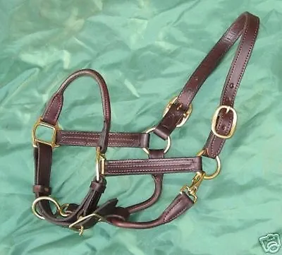 Rolled Nose Leather Halter 1  HORSE COB OVERSIZE Size Black Or Brown With Snap • $84.95