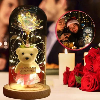 Light Up Rose In Glass Dome Infinity Flower Birthday Bear Gift For Her Xmas Gift • $17.96