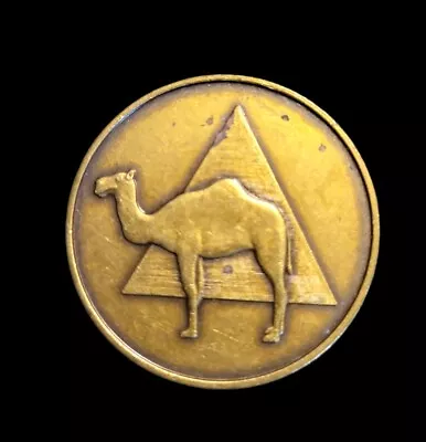 Camel Coin Medallion Coin AA NA Recovery Chip Bronze • $6.99