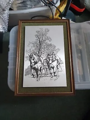 £2.99 • Buy Vintage Shire Horse Ploughing Steel Picture 