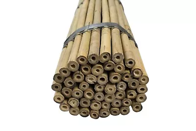 Garden Bamboo Canes Large Heavy Duty Thick Poles Trellises Plants Support 2-6ft • £7.79