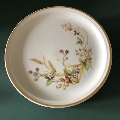 M & S (Marks And Spencer) Side Plates - Harvest Pattern 1418 - 9 Available • £3