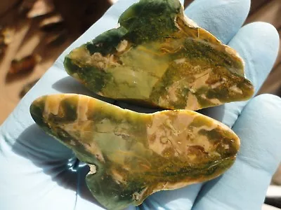 Morrisonite Jasper Polished Halved Nodule Pair Pink Blue Teal Greens Golds • $39.99