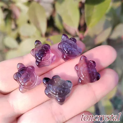 5pcs Natural Fluorite Tortoise Carved Mini Quartz Crystal Skull Reiki HEALING • $11.56