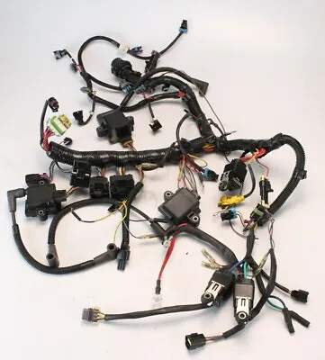 896264T01 879984T00 Mercury 2006 Wiring Harness & Coils 75 90 + HP 1.5L DFI • $200