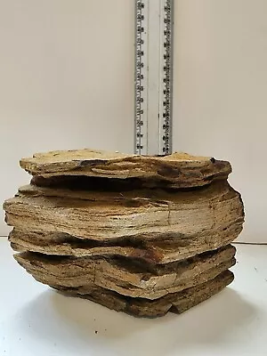 $8.50 • Buy FEATURE ROCK - FOR BONSAI/FAIRY GARDEN, HABITAT ETC (1.29kg) - REAL ROCK (R2305)