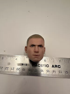 1/6 Hot Toys Truetype TTM-18 Male Head - Wentworth Miller As Michael Scofield • $35