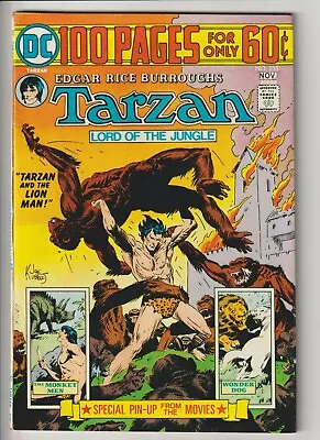 Tarzan #233 (dc) 1974  (higher Grade) 100 Page Giant • £11.99