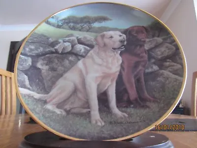 £9.99 • Buy Golden Labrador Dog Plate - Trusted Companions - Nigel Hemming - Franklin Mint
