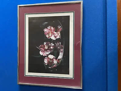J. Poche Memphis Belle Camellias Signed & Numbered Limited Edition With COA • $19.99