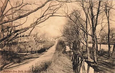 Mountain Avenue Park Malden Massachusetts MA 1910 Postcard • $5.95