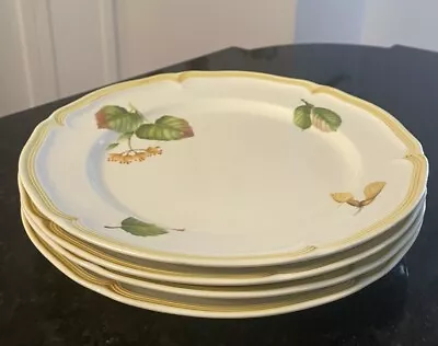 Villeroy & Boch Parkland Dinner Plates~ SET OF 4~ Fine China~Germany~ VGUC~ Read • $89.95