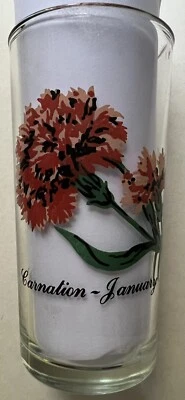 $5.99 • Buy Brockway Flower Of Month Tumbler Carnation January 5 1/4” Tall