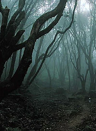 £2.19 • Buy A Haunting At Cypress Creek DVD (2015) Shanon Snedden, Crum (DIR) Cert 18