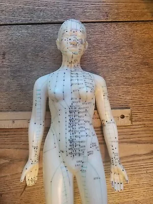 Vintage Female Body Acupuncture Acupressure Model  18in Tall  2 Meridians  • $34.99