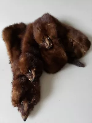 Fur Wrap Stole Eyes Paws Tail Marten Tippet 3 Pelts Vintage Circa 1940-1950's • $24.95