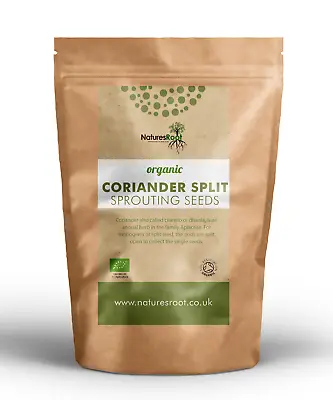 £99.99 • Buy Organic Split Coriander Sprouting Seeds - Cilantro Microgreen Sprouts | Non GMO 