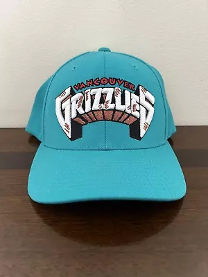 Mitchell & Ness (Vancouver Grizzlies) HWC 110 Flexfit Adjustable Snapback Hat • $15