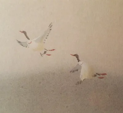 MARIE CHARLOT Snow Goose Pacific Northwest Vtg Alaska Watercolor Bird Painting • $225