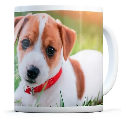 Jack Russell Terrier - Drinks Mug Cup Kitchen Birthday Office Fun Gift #15879 • £8.99