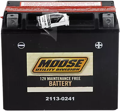 YTX AGM Maintenance Free Battery 310CCA 12V 18Ah Moose MTX20HL-BS • $99.95