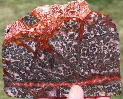 LEOPARD SKIN JASPER SLAB 150 Gram Rock/Mineral/rough/agate/onyx/slab/cab/gem • $8.05