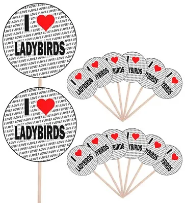 I Love Ladybirds Party Food Cup Cake Picks Sticks Flags Decorations Toppers • £5.99