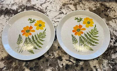 2 Rare Vera For Mikasa Fern Valley Dinner Plates • $35