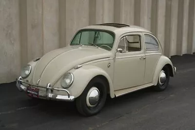 1964 Volkswagen Beetle  • $6101