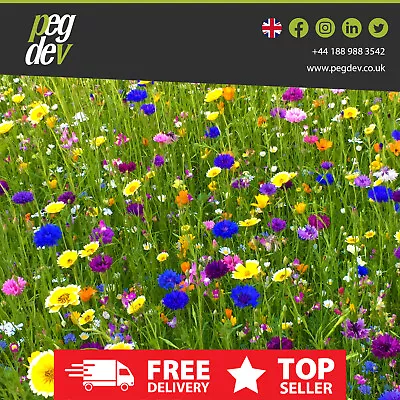 Heritage Country Meadow Wild Flower & Grass Mix Seed - Bees & Butterflies • £5.33