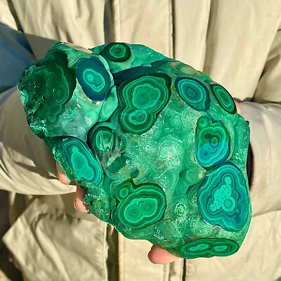 2.5LB  Natural Tortoise Malachite Transparent Cluster Coarse Mineral Sample • $33