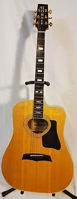 Hohner HG360R Acoustic Guitar • $1200