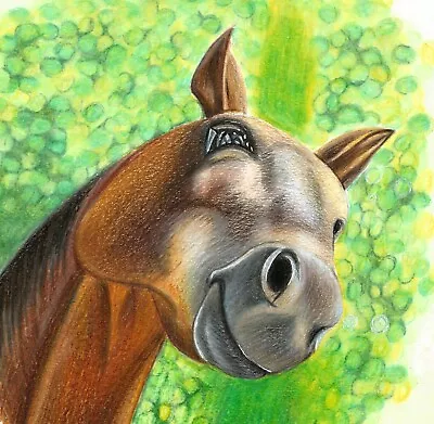 Original Colour Pencil Horse Drawing Equine Animals Wall Art Horses • £40