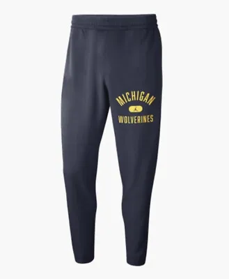 Rare Nike Jordan Michigan Wolverines Spotlight Jogger Pants Mens Sz L DD6369-419 • $69.95