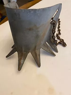 Vintage Farm Ranch Calf Weaner Primitive Spiked Dairy Farm Tool Cows • $21.99