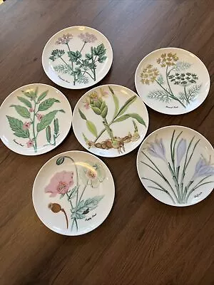 6 VTG Horchow Botanical Herb Spice Salad / Dessert Plates 7-5/8  Set Japan • $24.95