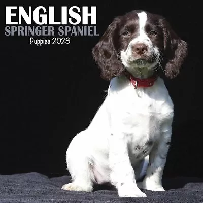£7.97 • Buy English Springer Spaniel Puppies Mini Calendar 2023 New Book