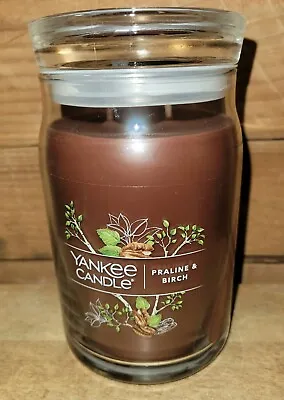 $14 • Buy Yankee Candle PRALINE & BIRCH 20 Oz Two Wick Large Jar Candle NEW